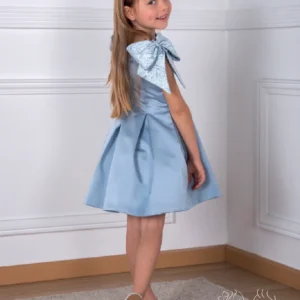 XC202 LUDOVIKA Vestido Ceremonia