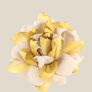 Flor Nenúfar mostaza